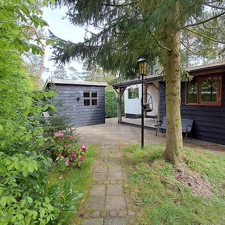 Sfeervol Chalet De Dassenburcht Emst Ngoại thất bức ảnh